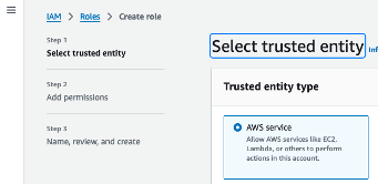 AWS Trusted Entity