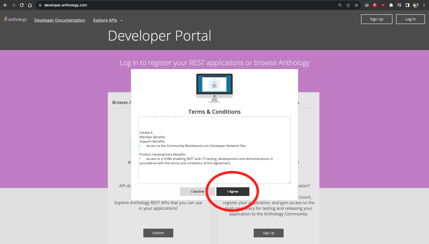 Developer portal terms and condition window