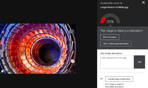 Screenshot showing an image of the Large Hadron Collider. The image is missing a description which results in a 25% accessibility score.